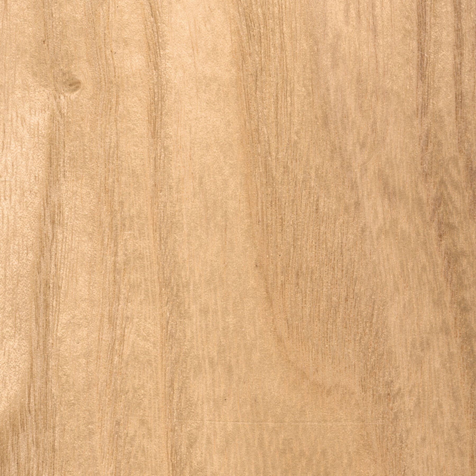 Atlas Nan XL 72 inch Matte Black with Light Maple Tone Blades Ceiling Fan